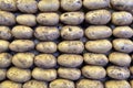 Group of brown fresh potatoes. Many fresh organic potatoes as a background. Royalty Free Stock Photo